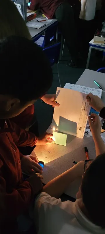 Gallery - created at 2022-11-02 08:06:56 - image 9