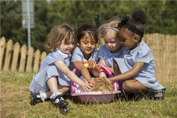 Gallery - created at 2019-11-29 10:47:27 - image 1 Gallery - created at 2019-11-29 10:47:27 - image 1