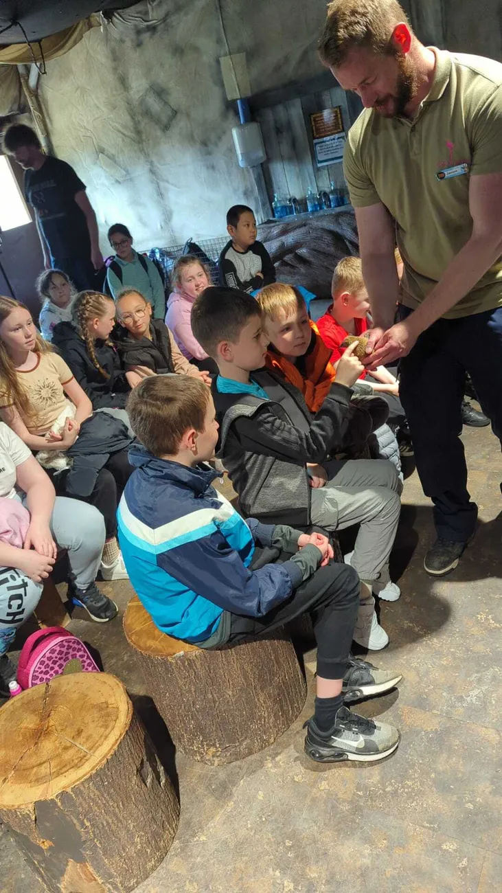 Gallery - created at 2024-06-06 15:03:55 - image 80