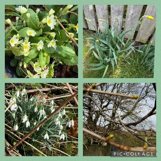 Forest School 16 - image 4 Forest School 16 - image 4