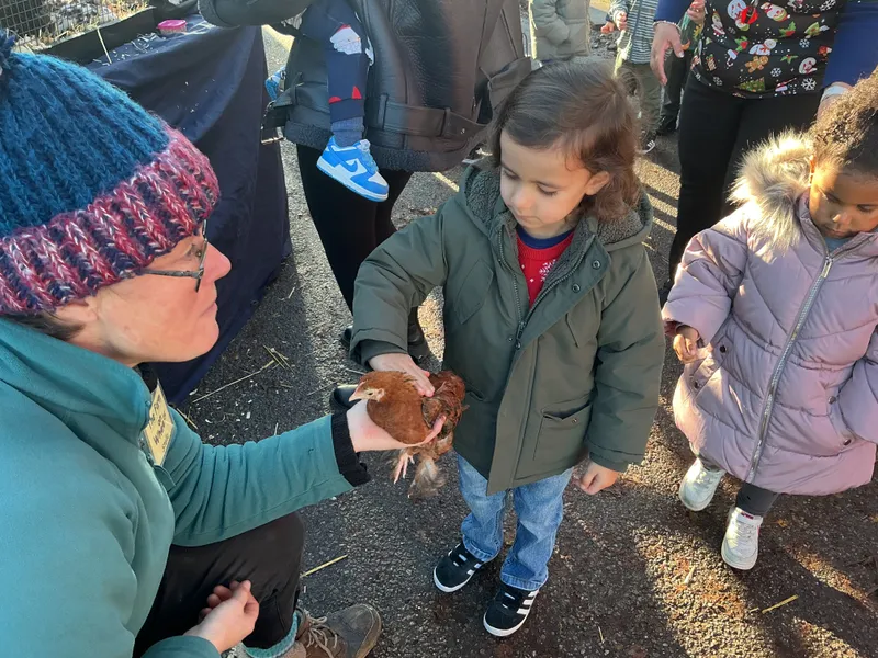 Stella farm on wheels Part 1 - image 41