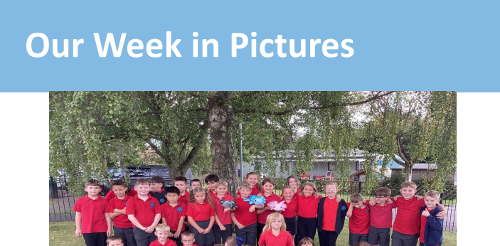 Newsletter - 19th September