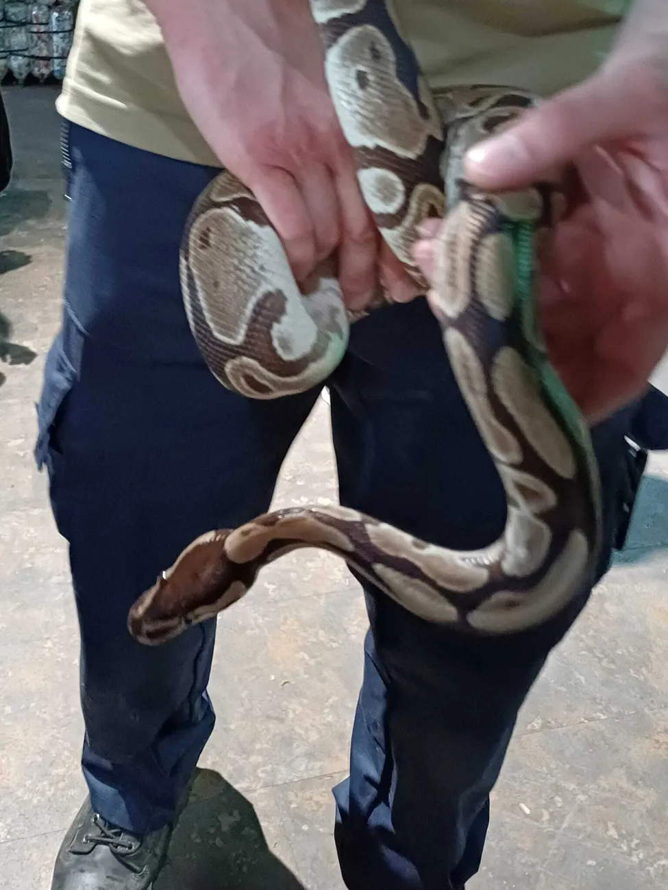 Gallery - created at 2024-06-06 15:03:55 - image 13