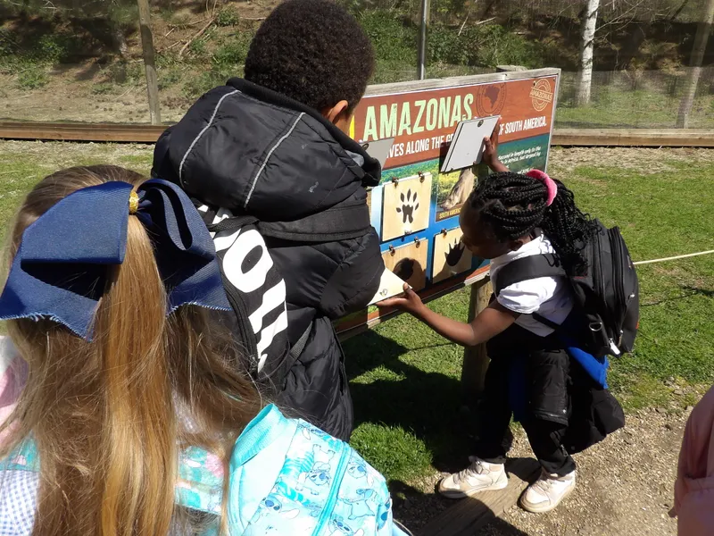 Y3 Yorkshire Wildlife Park Trip - image 12