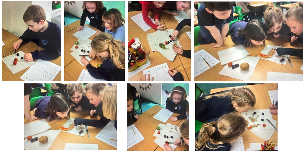 Investigating seeds