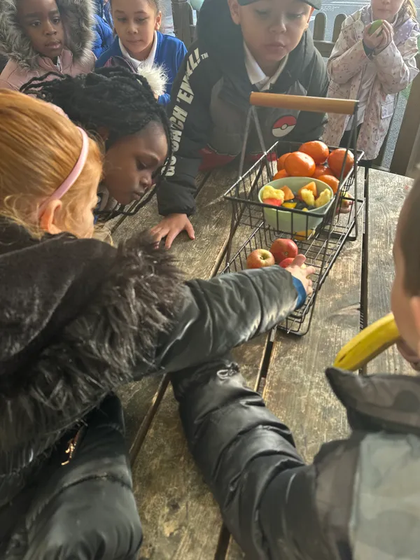 Tesco Fruit & Veg Scheme - image 8 Tesco Fruit & Veg Scheme - image 8