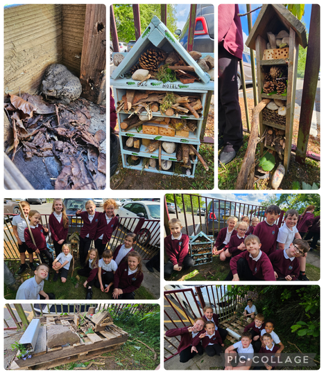 Bug Hotels in 4W