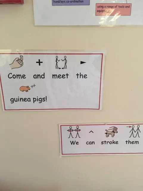 Middle Nursessry - image 4 Middle Nursessry - image 4