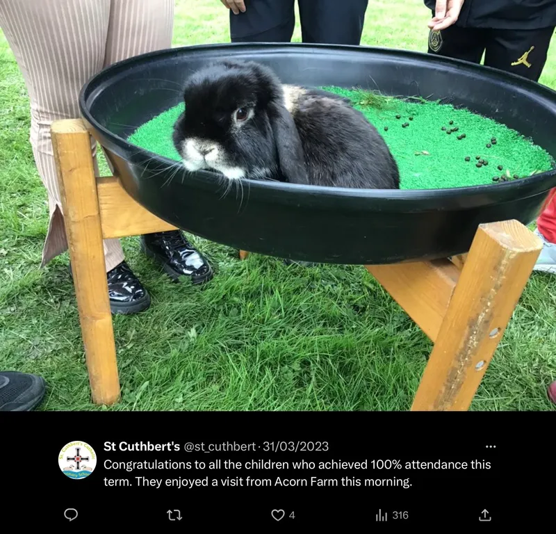 Gallery - created at 2023-06-16 12:33:36 - image 15