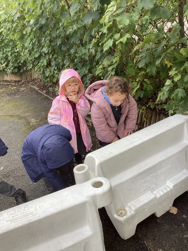 Gallery - created at 2025-09-16 16:30:01 - image 1