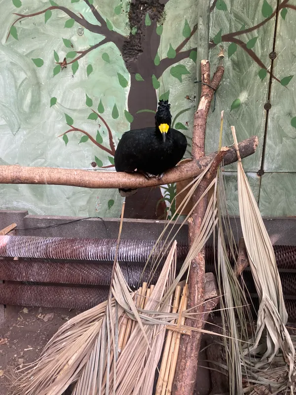 Gallery - created at 2025-06-20 13:57:48 - image 8