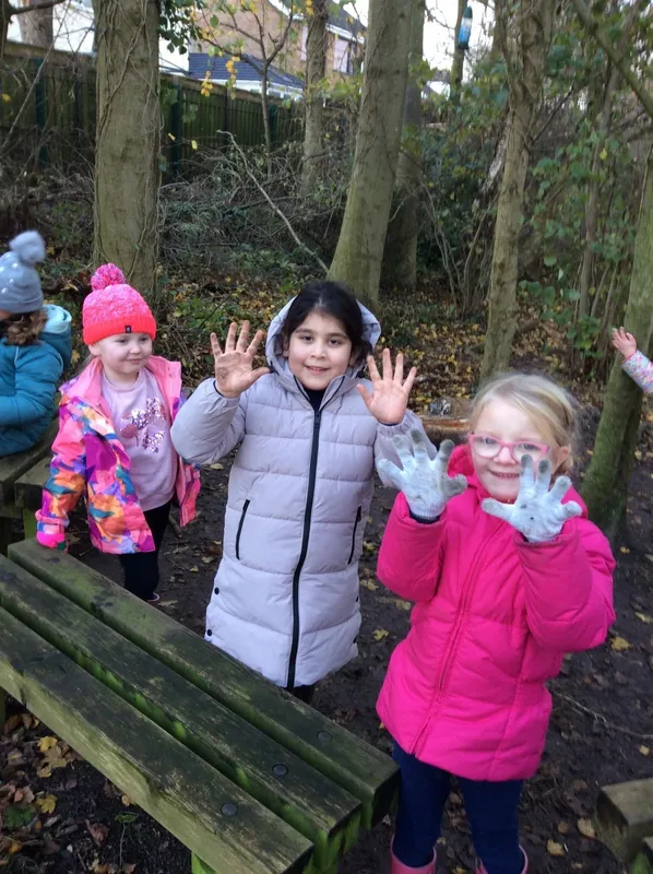 Gallery - created at 2023-03-03 13:08:07 - image 4