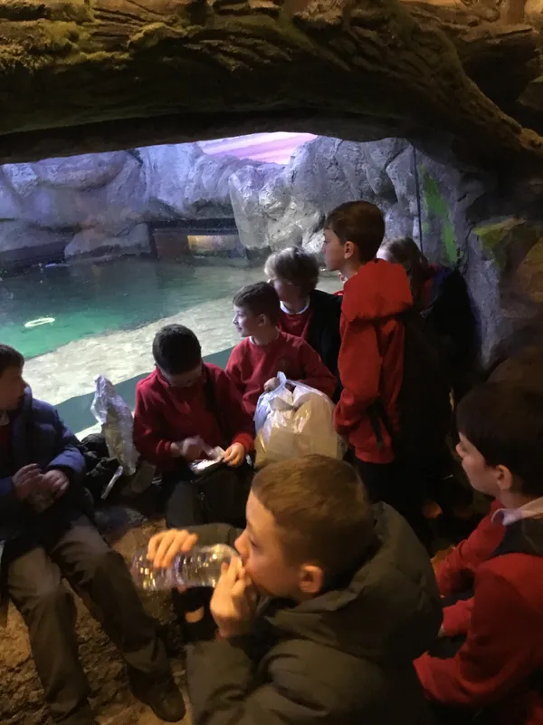 Year 5 Sealife Centre  - image 43