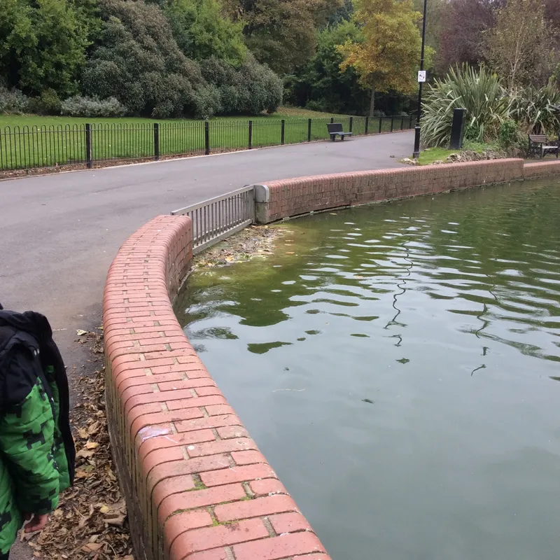 Gallery - created at 2024-10-15 15:42:06 - image 2 Gallery - created at 2024-10-15 15:42:06 - image 2