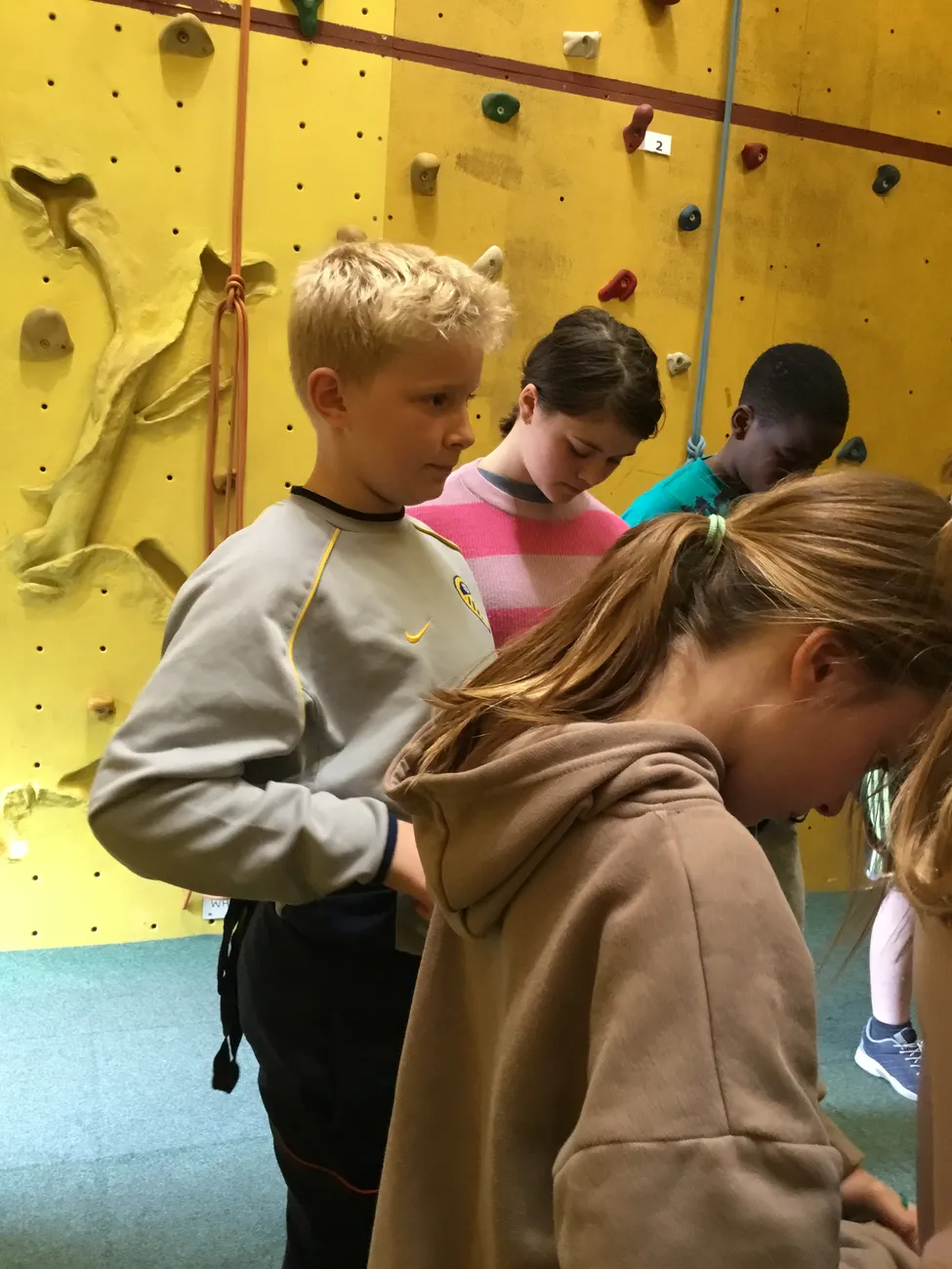 Gallery - created at 2024-09-19 19:48:04 - image 18 Gallery - created at 2024-09-19 19:48:04 - image 18