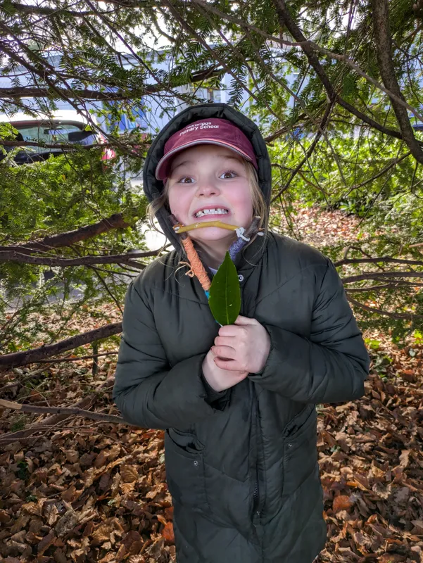 Gallery - created at 2025-03-13 16:28:18 - image 1