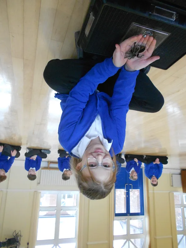 Y6 Reptile Rendezvous - image 73