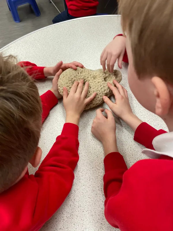 Gallery - created at 2024-01-16 20:24:51 - image 8 Gallery - created at 2024-01-16 20:24:51 - image 8