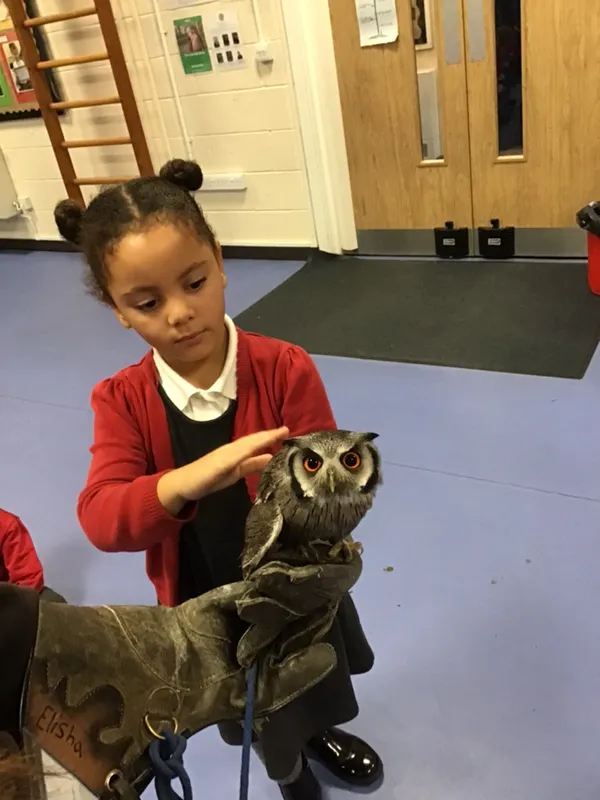 birds of prey year 1 25 - image 17 birds of prey year 1 25 - image 17