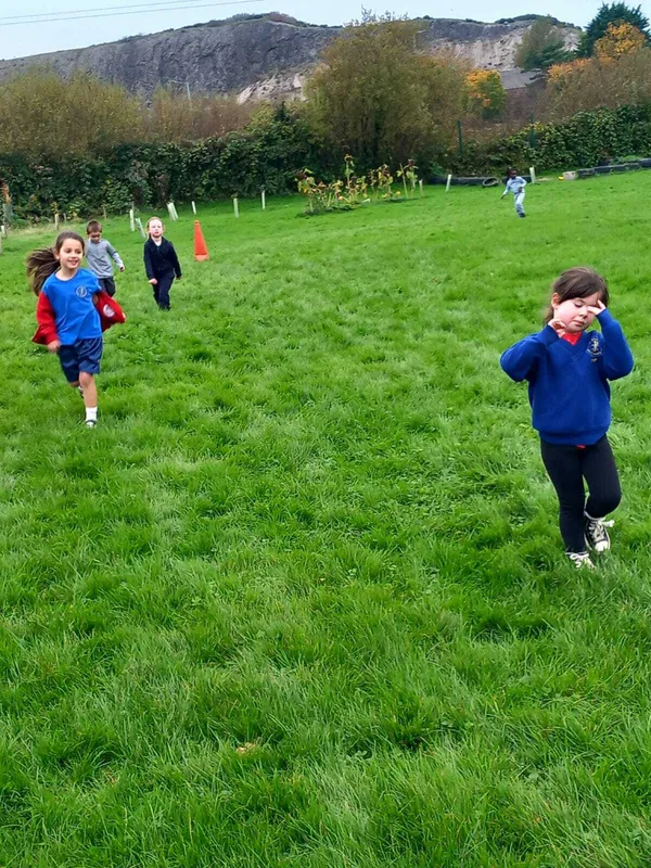 Gallery - created at 2025-10-20 11:33:38 - image 5 Gallery - created at 2025-10-20 11:33:38 - image 5