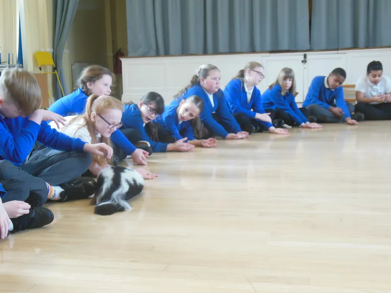 Y6 Reptile Rendezvous - image 26