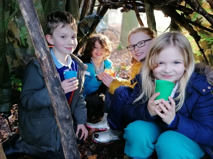 Gallery 2 - image 20