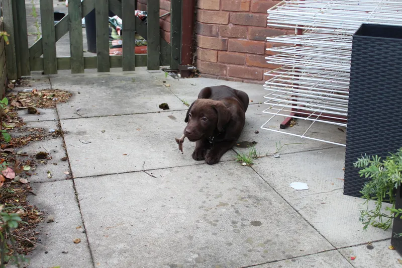 Gallery - created at 2021-06-30 13:57:57 - image 5