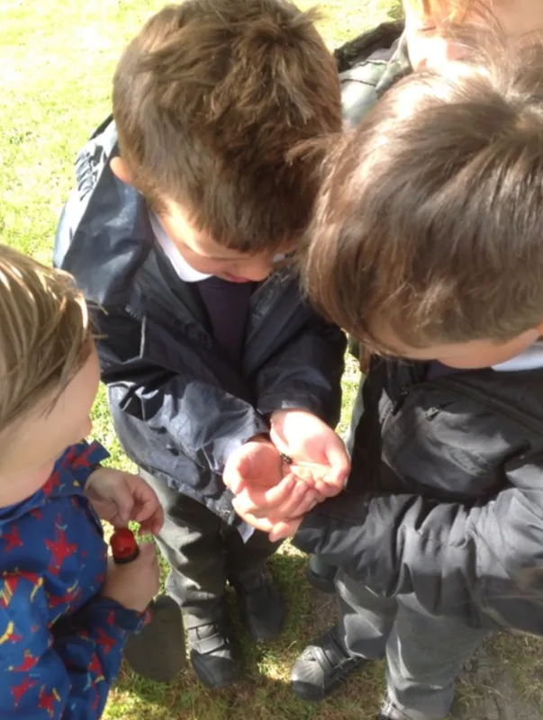 Gallery - created at 2020-02-19 14:54:52 - image 1