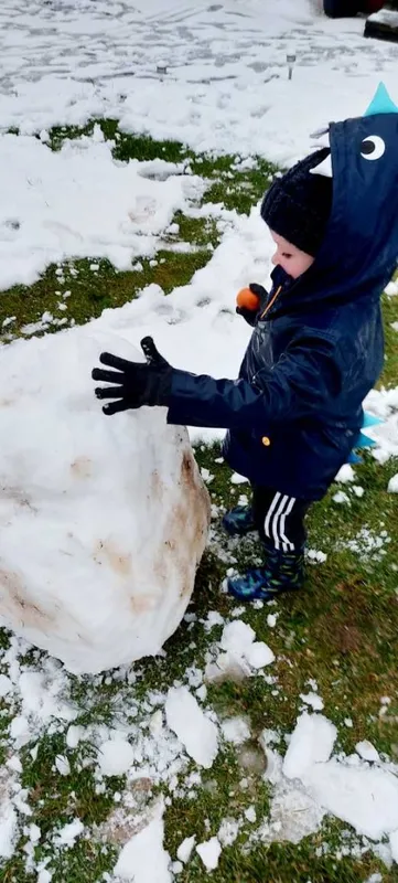 Gallery - created at 2021-03-29 16:05:10 - image 5