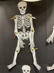 Year 3 Autumn 1 blog - image 1 Year 3 Autumn 1 blog - image 1