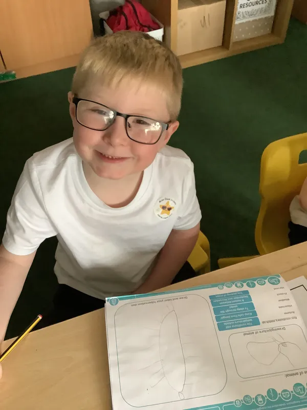 Gallery - created at 2025-10-04 06:13:36 - image 4 Gallery - created at 2025-10-04 06:13:36 - image 4