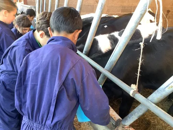 Farm Trip 25 - Gallery 2 - image 21