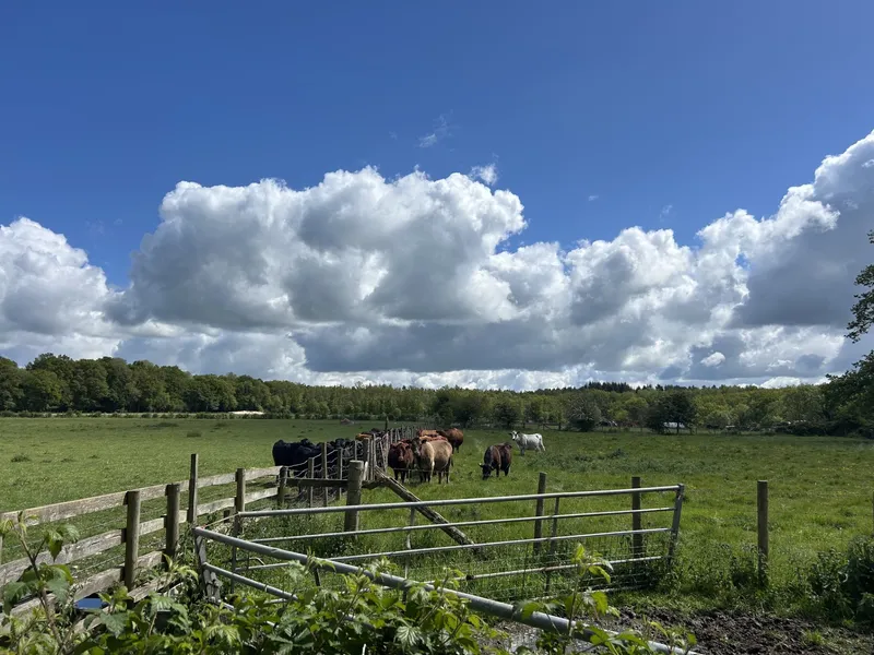 Blue Tin Visit  - image 15