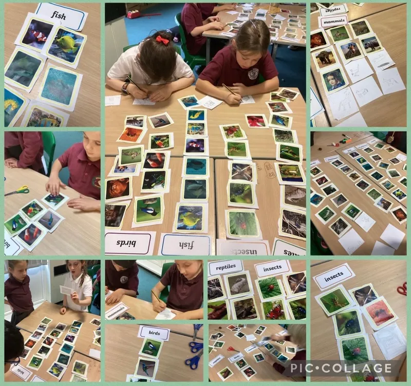 science gallery - image 10 science gallery - image 10