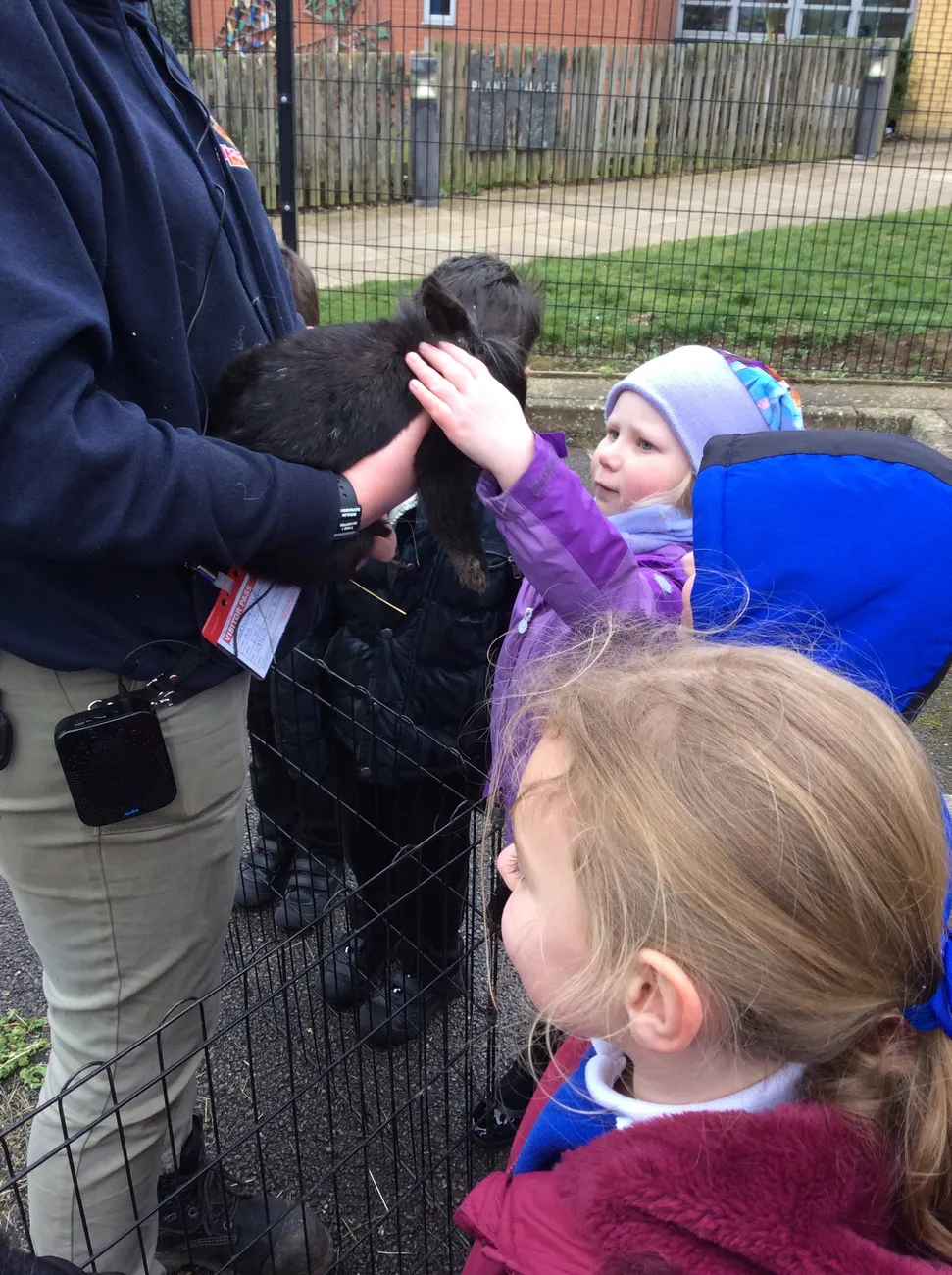 Gallery - created at 2023-03-03 16:33:51 - image 16