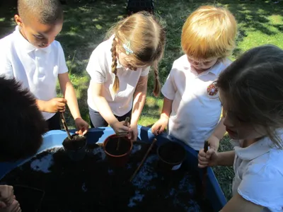 Planting - image 56