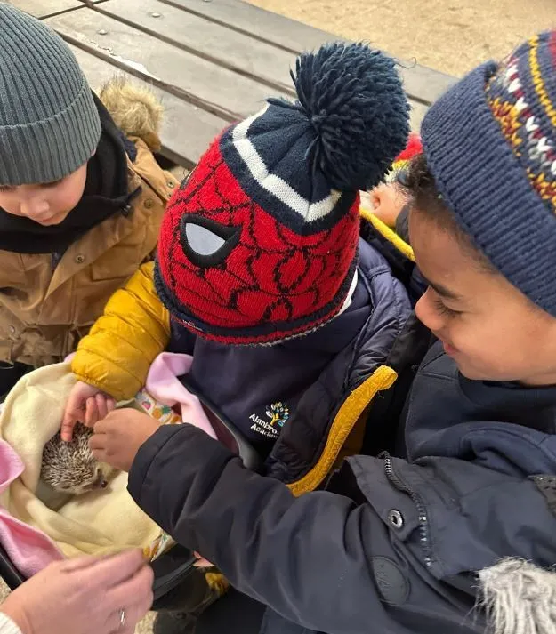 Gallery - created at 2024-01-29 10:19:28 - image 6