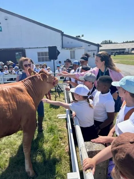 Gallery - created at 2024-01-29 10:37:39 - image 8