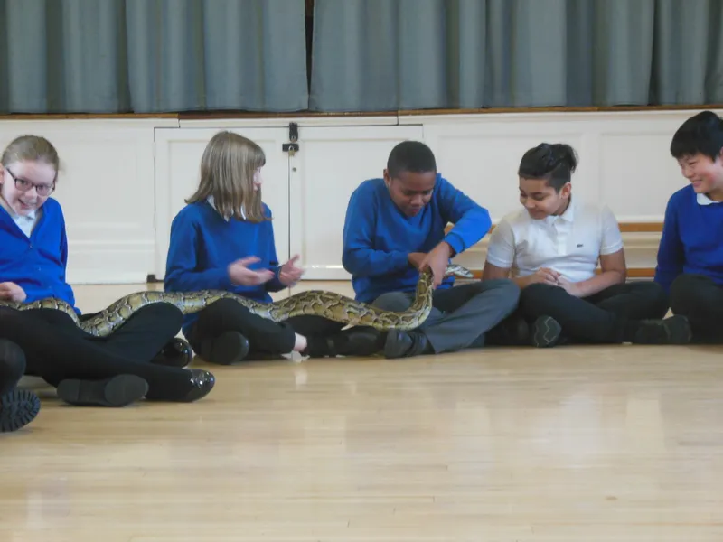 Y6 Reptile Rendezvous - image 4