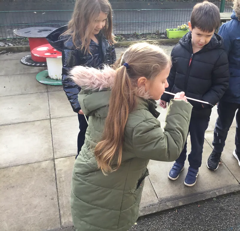 Gallery - created at 2022-02-12 23:06:23 - image 6