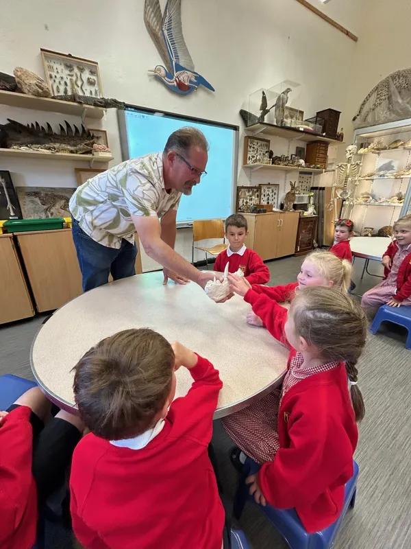 Gallery - created at 2025-05-15 20:19:39 - image 21