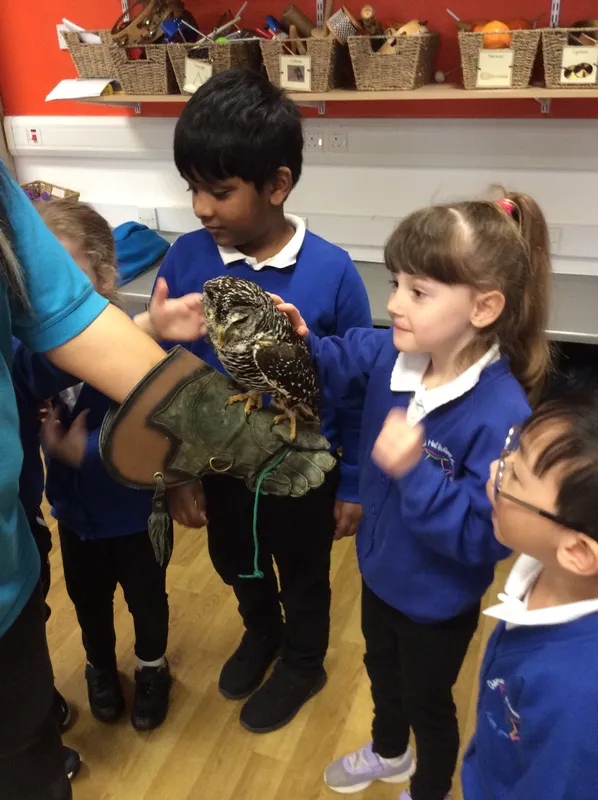 Gallery - created at 2024-02-26 17:15:57 - image 77 Gallery - created at 2024-02-26 17:15:57 - image 77