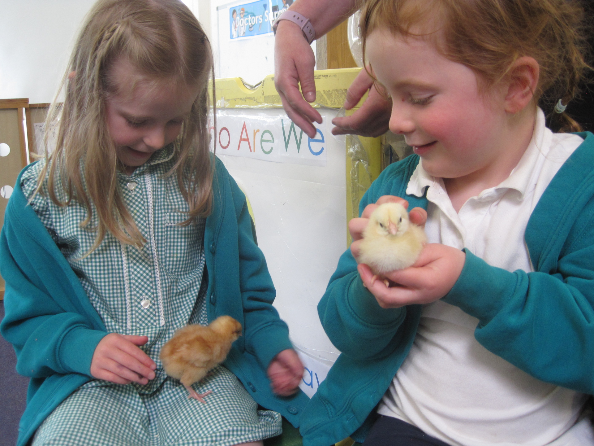 Early years pupils witness to early life