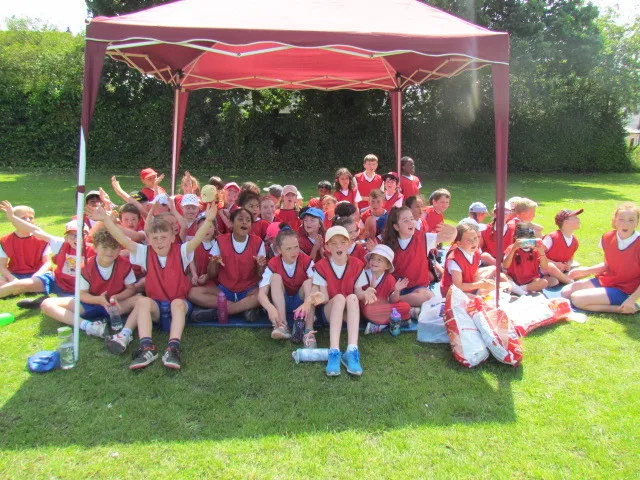 Gallery - image 8