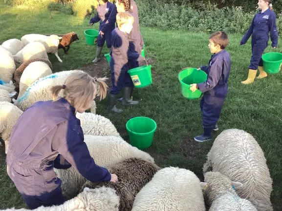 Farm Trip 25 - Gallery 2 - image 25