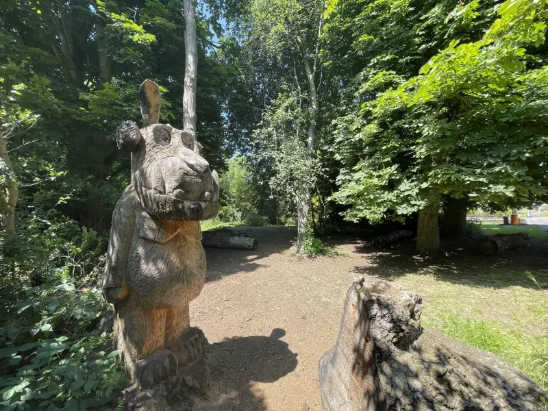 Year 3 - Photo Gallery - image 4