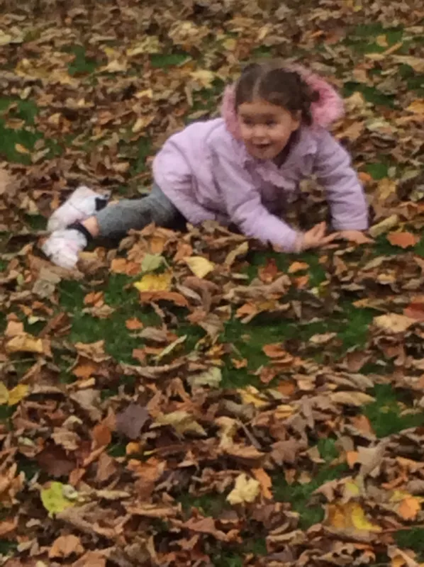 Gallery - created at 2024-11-05 15:27:50 - image 29 Gallery - created at 2024-11-05 15:27:50 - image 29