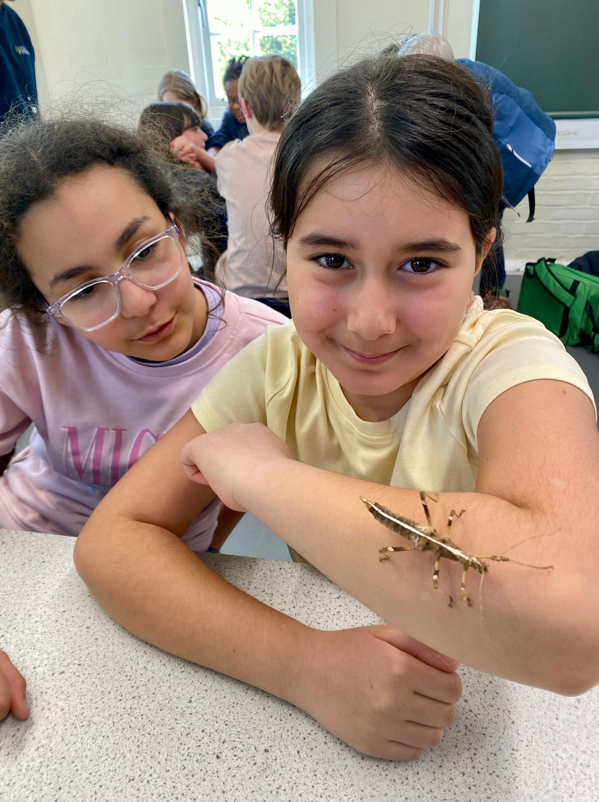 Year 5 meet some fascinating creatures!