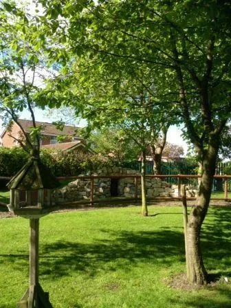 RNS - Our Outdoor Area - image 11