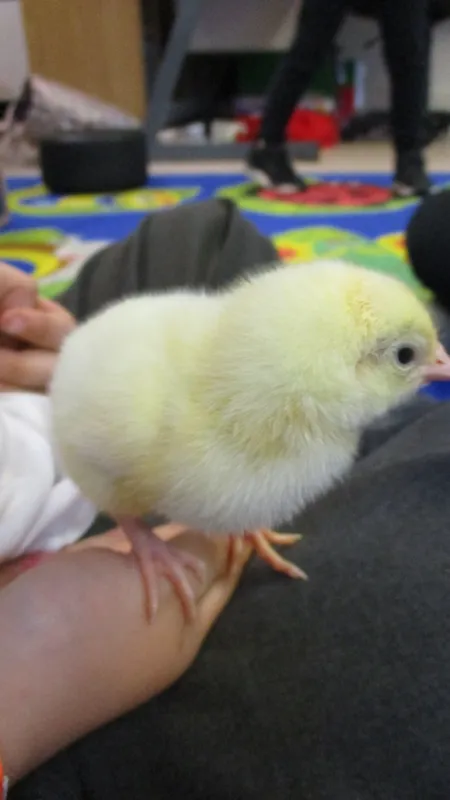 Gallery - created at 2019-05-03 14:52:25 - image 9